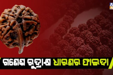 ବୁଧବାର ଗଣେଶ ରୁଦ୍ରାକ୍ଷ ଧାରଣ କରିବା ଦ୍ୱାରା ଦୂର ହୋଇଥାଏ ସମସ୍ତ ବାଧା