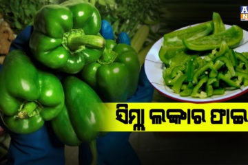 ସିମ୍ଲା ଲଙ୍କାର ଜବରଦସ୍ତ ଫାଇଦା